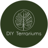 DIY Terrariums